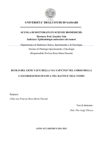 Il carcinoma epatocellulare - Università degli Studi di Sassari