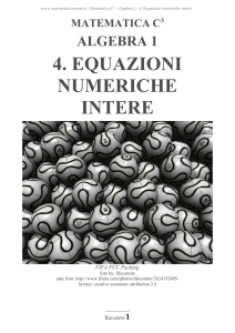 4. EQUAZIONI NUMERICHE INTERE