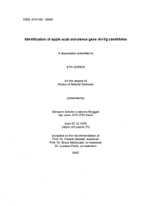 Identification of apple scab avirulence gene - ETH E