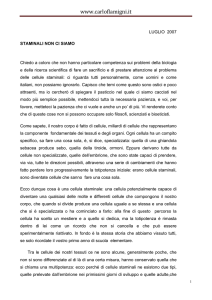 Scarica e leggi l`articolo in formato PDF