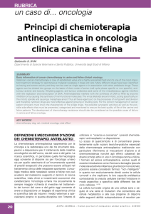 Principi di chemioterapia antineoplastica in oncologia