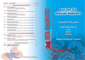 Real Time PCR Molecular Diagnostic