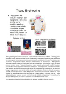 Per ingegneria genetica intendiamo studio delle tecniche di