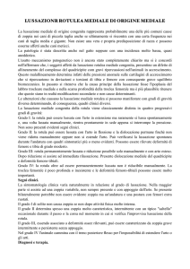 Vuoto 1 - Ambulatorio Veterinario S.Giorgio in Bosco
