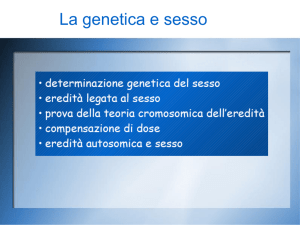 argomento 5 - la genetica e i cromosomi sessuali