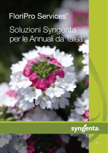 Soluzioni Syngenta per le Annuali da Talea