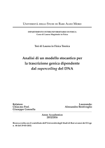 15-16-BENTIVOGLIO Alessandro