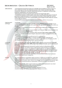 Microbiologia - Cellula Batterica