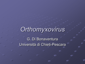 Orthomyxovirus