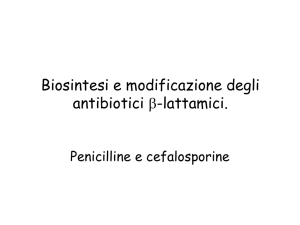 Biosintesi degli antibiotici -lattamici. Penicilline e - e