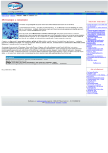 Pavia e provincia: Pavese, Oltrep&ograve; Pavese, Lomellina