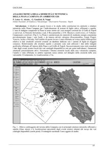 analisi critica della sismicità e tettonica della piana