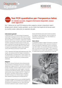 Test PCR quantitativo per l`herpesvirus felino