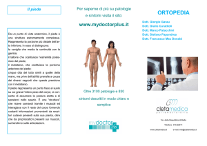 ortopedia - CLETAMEDICA