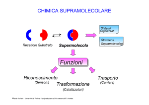 chimica supramolecolare