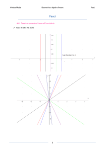 Matteo Moda Geometria e algebra lineare Fasci 1 N.B.: Questo