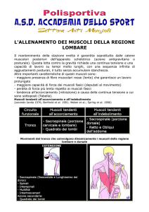 l`allenamento dei muscoli della regione lombare