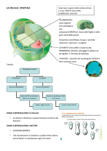 la cellula vegetale