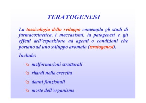 (teratogenesi).