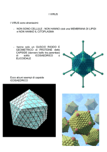 Virus e prioni  - I.C. Ferrari Pontremoli