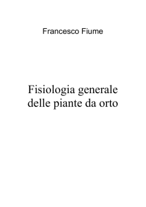 fiume f., 2010. - Ritorna alla Home page