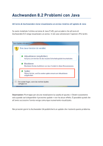 Aschwanden 8.2 Problemi con Java