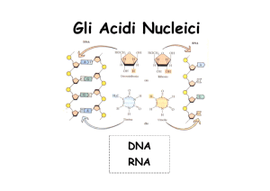 Gli Acidi Nucleici - Sito professionale di FRANCESCO TARANTINO