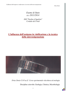 Esame di Stato a.s 2013/2014 L`influenza dell`ossigeno in