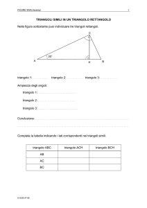 TRIANGOLI SIMILI IN UN TRIANGOLO RETTANGOLO Nella figura