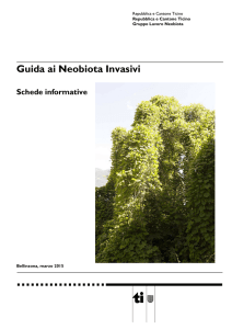 Guida ai Neobiota Invasivi - Repubblica e Cantone Ticino