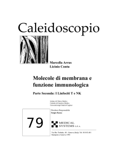 Molecole di membrana e funzione immunologica