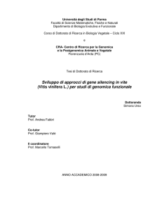 Sviluppo di approcci di gene silencing in vite (Vitis vinifera L.) per