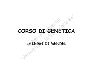 Le leggi di Mendel - la genetica a urbino