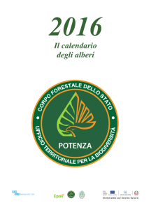 Il calendario degli alberi