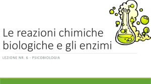 Le reazioni chimiche e gli enzimi