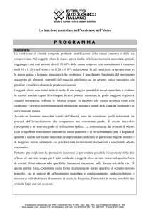 Programma PDF