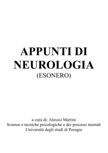 Scarica il file