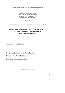 di penicillium spp - AMS Tesi di Dottorato