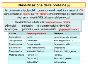 Emoglobina: un esempio di proteina allosterica