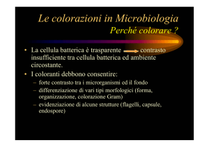 Colorazioni Batteriologiche