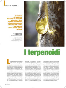 Terpenoidi - Farmacia Europa Cassino