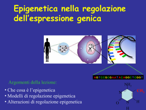 Epigenetica nella regolazione dell`espressione