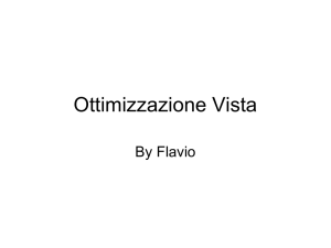 Ottimizzazione Vista