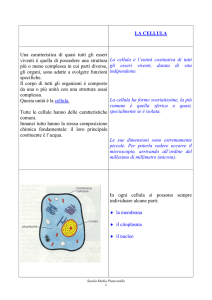 la cellula - Scuola Media di Piancavallo