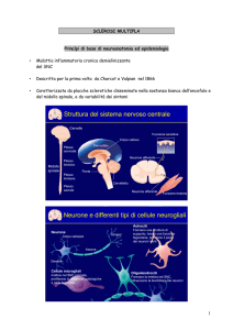 Struttura del sistema nervoso centrale Neurone e differenti tipi di