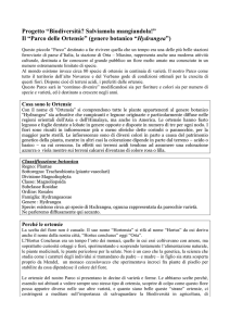 cartello ortensie - File PDF - Consorzio Pro Loco Lago d`Orta