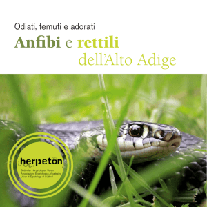 Brochure - Herpeton