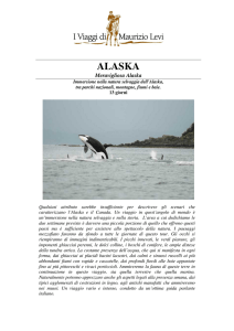 ALASKA - I Viaggi di Maurizio Levi
