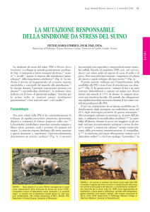 la mutazione responsabile della sindrome da stress del