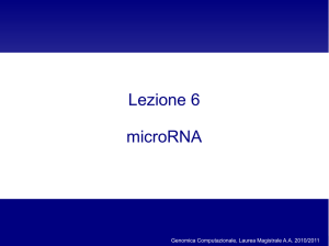 Lezione6_GenomicaComputazionale_2011 (3.17